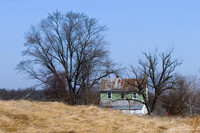 New Market Farms
