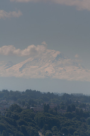 DSC_0808