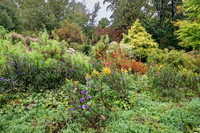 Brookside October 3 2026