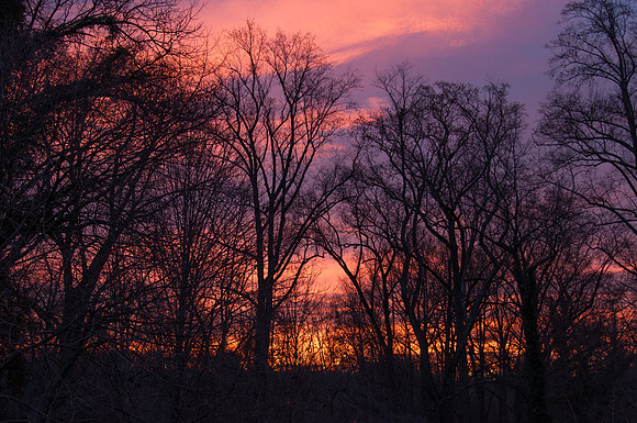scenic, landscape, countryside