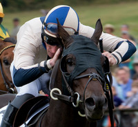 Equestrian Sports