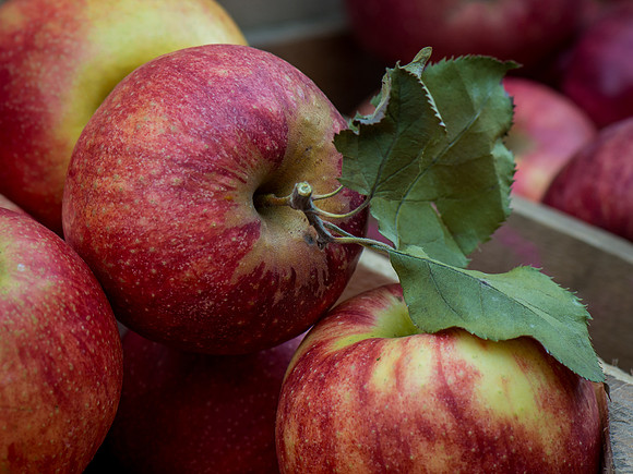 Apples, farmers market, poroduce